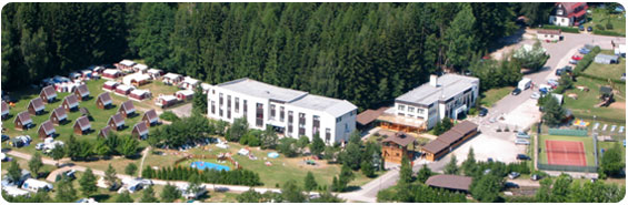lisci_farma
